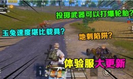 吃鸡最新更新爆料,全新玩法与优化，带你领略极致战斗体验！