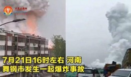 河南都市爆料鲁山事件视频,河南都市爆料视频揭示惊人真相